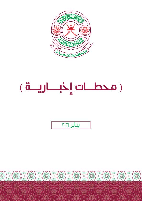 محطات إخبارية